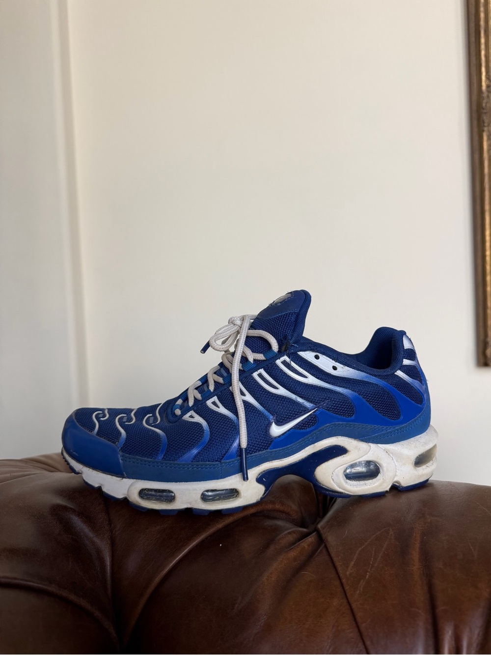 Nike Air Max Plus TN Arctic Chill Men’s Size 8 Royal Blue White - Picture 2 of 12